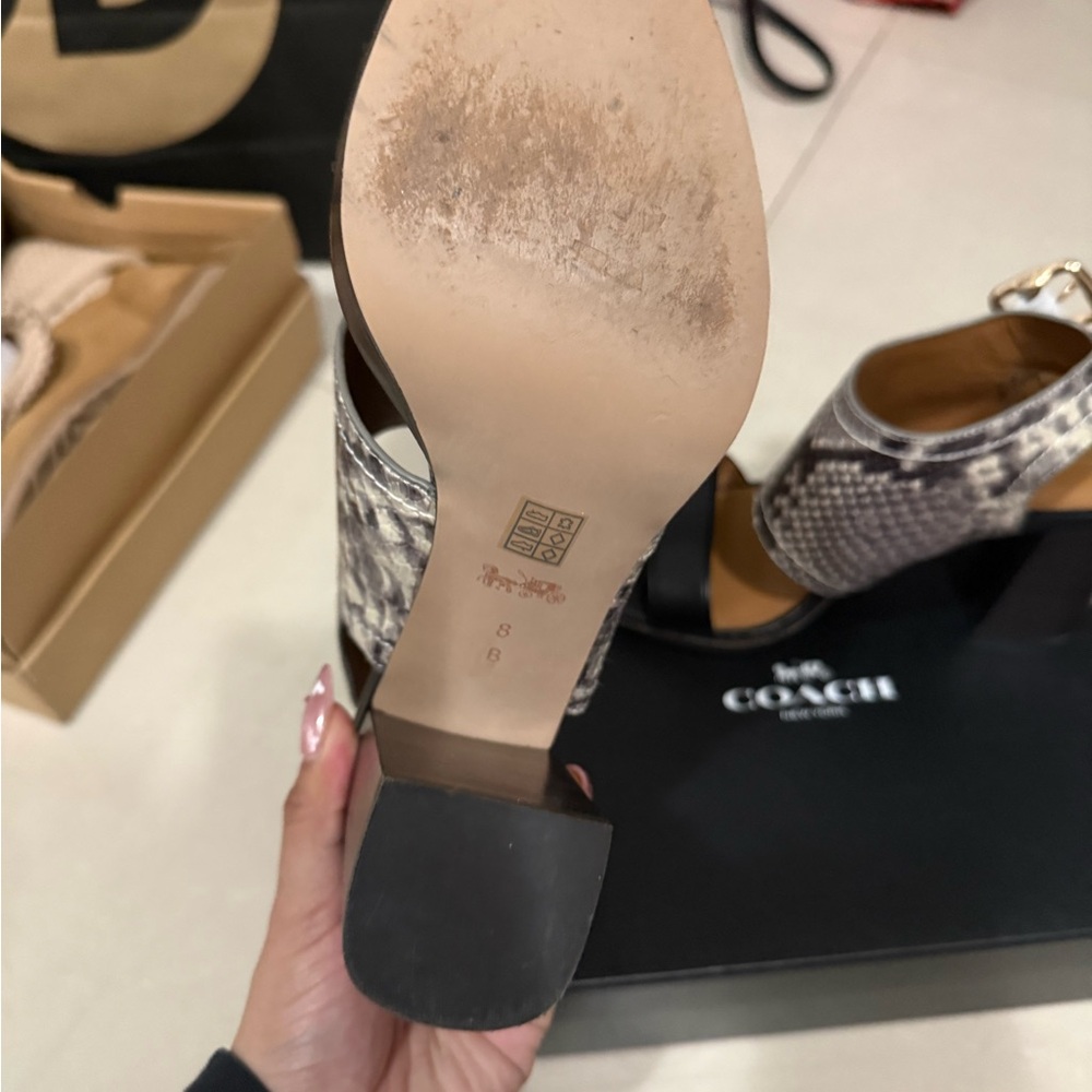 Coach Women's Black and Snake Pattern Sandals - Picture 4 of 7